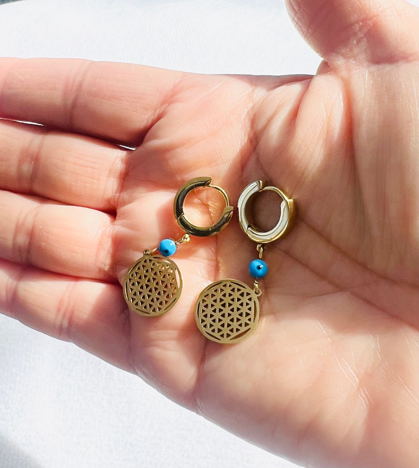 STAINLESS STEEL CIRCULAR NET WITH EVIL EYE EARRINGS